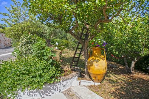 B&B Il Brigante