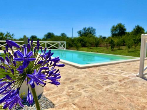 Villa Trulli Fenice Paradise