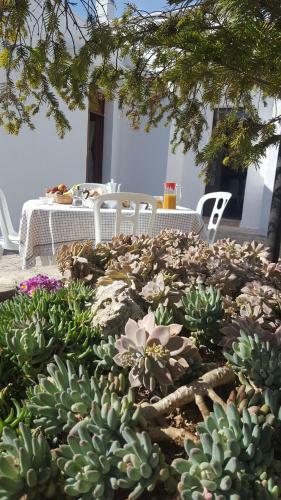 Trullo Amicizia
