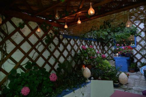 Apartamento Trulli Del Corso B&B