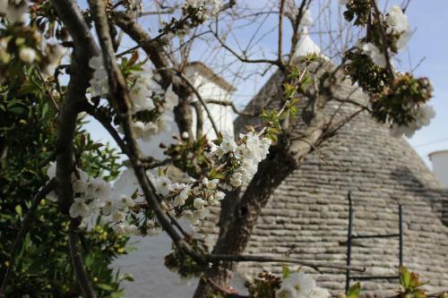 Trullo "vicolo Fiorito"
