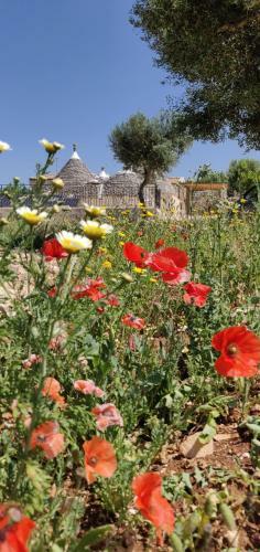 Villa Trullo La Perla Di Pietra