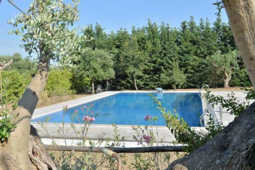 Charme Natural B&B