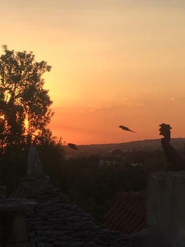 Villa Trulli Jaja