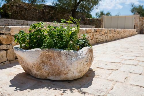 Il Trullo Della Rondinina