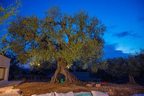 Il Trullo Della Rondinina