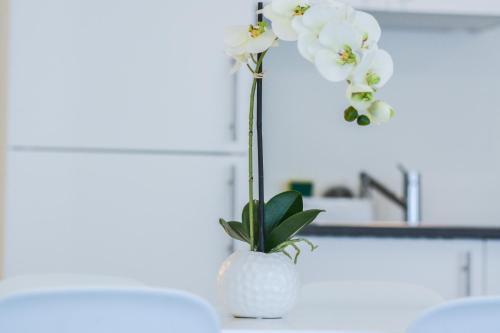 Apartamento Il Mare Appart Hotel 1