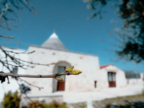 Bed & Breakfast Rifugio Di Puglia - Trulli & Dimore