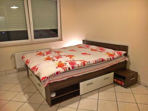 Cozy Studio Apart - King Bed - Netflix - Projector - Fast Wi-fi