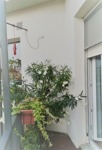 Hostal Dop Guest House
