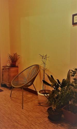Hostal Dop Guest House