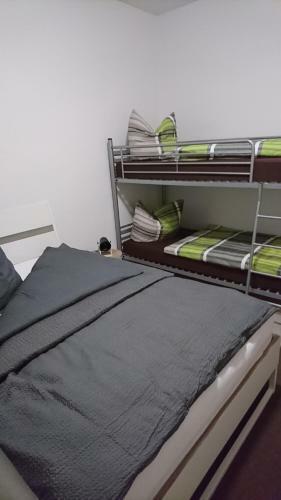 Apartamento Halle Saale 402