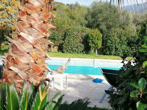 Apartamento Studio 5min Plage Agosta