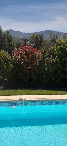 Apartamento Studio 5min Plage Agosta