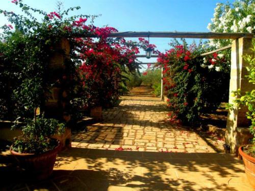 Bed & Breakfast Masseria Isola Verde