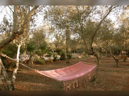 Bed & Breakfast Masseria Isola Verde