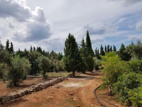 Bed & Breakfast Masseria Isola Verde
