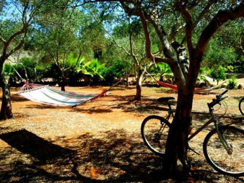 Bed & Breakfast Masseria Isola Verde