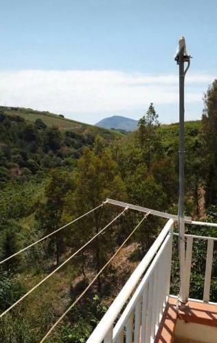 Apartamento L'angolo Di Paradiso