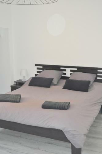 Apartamento L?h�tel Particulier D?albi