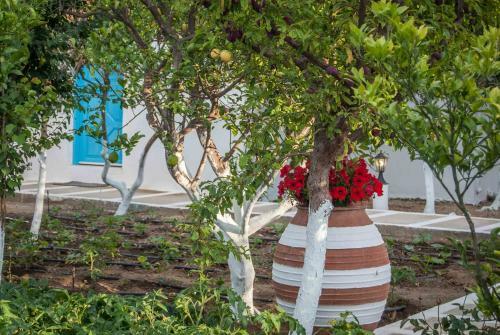 Perivoli 1-chora(5min Away From The Center By Car)