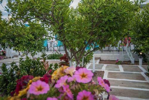Perivoli 1-chora(5min Away From The Center By Car)