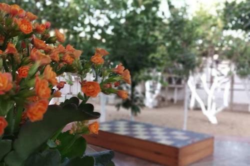 Perivoli 1-chora(5min Away From The Center By Car)