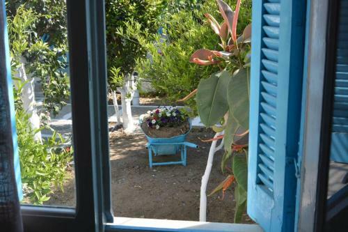 Perivoli 1-chora(5min Away From The Center By Car)
