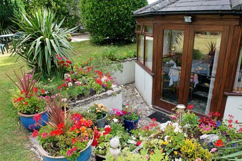 Hostal The Winter Dene