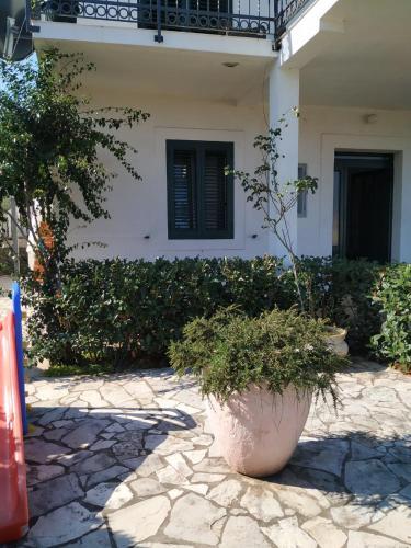 Kjara Apartments 1