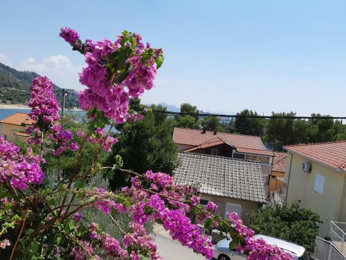 Apartman Vede Ba?ina
