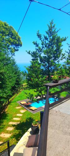 Bed & Breakfast Black Mountain