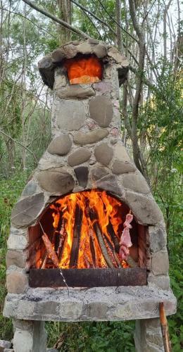 Lodge Vikendice Biocinovici