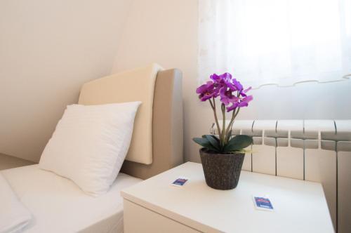 Apartamentos Loft