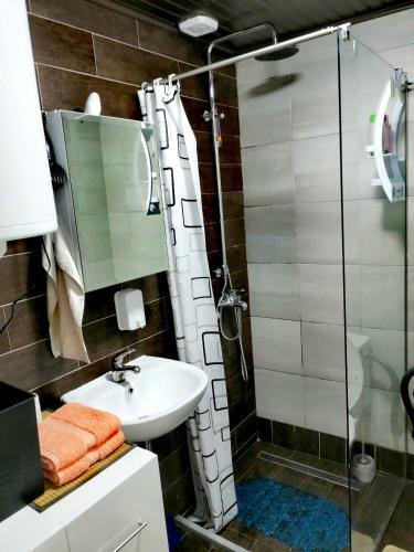 Apartamento Mavrovo Forest
