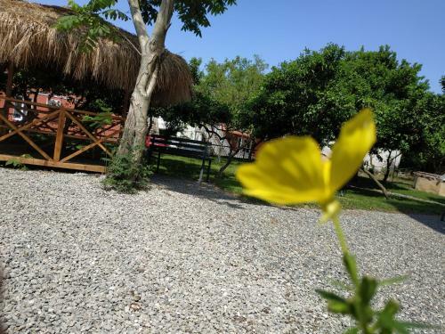 Hostal Hotel Kolkhi