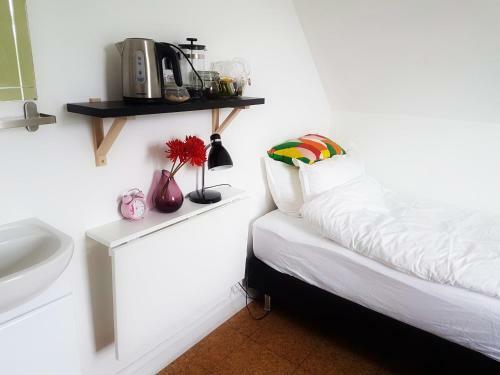 Albergue Refurinn Reykjavik Guesthouse