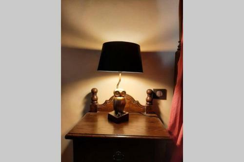 Maison de Nostradamus*** Occitanie Insolite