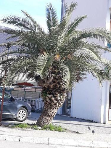 Apartman Aco
