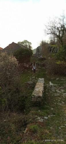 Old House Djurovic