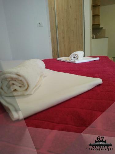 Apartbrajovic67