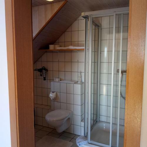 Hostal Gasthof Gr�ner Baum "kongo"