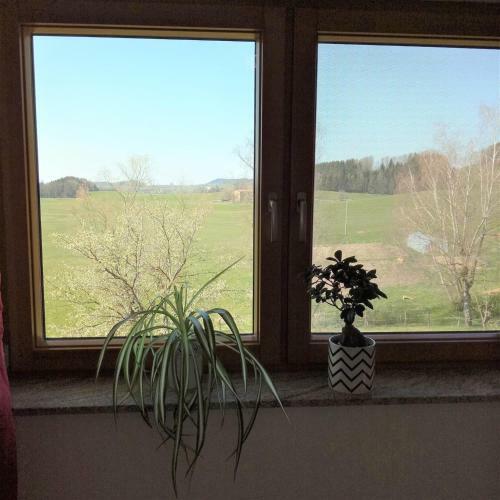 Hostal Gasthof Gr�ner Baum "kongo"