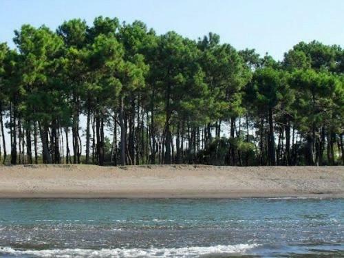 Villa Grigoleti - Sea Forest House
