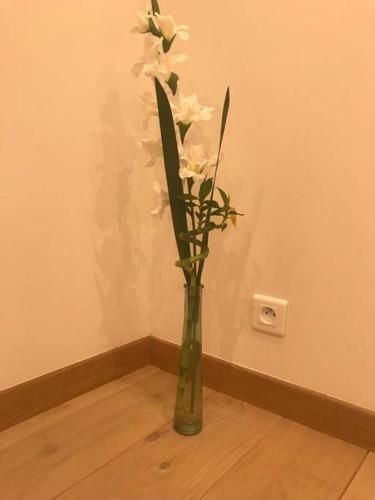 Apartamento Appartement Carnot