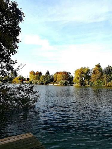 �lmod-lak B�k�sszentandr�s