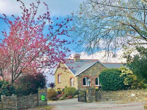 Bed & Breakfast Niblick