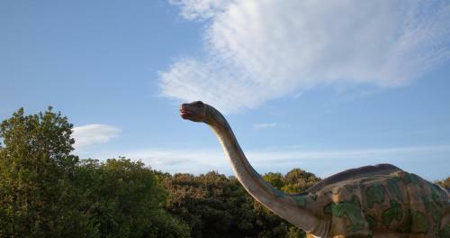 Hostal Rooms Danica