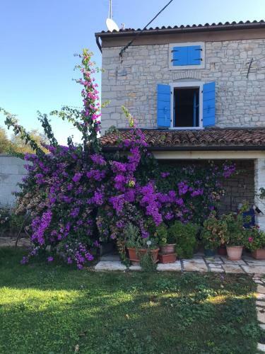 Bed & Breakfast Farmhouse Cubani