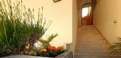 Studio Apartman Dado
